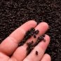 Polymer Clay Chocolate Chunks, Chopped Chocolate Chips, Decoden Sprinkles (Bag: 15 Grams)