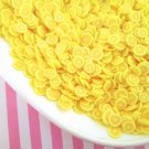 Polymer Clay Lemon Fruit Slices, Nail Art Slices, Faux, Miniature (Bag: 15 Grams)