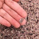 Large Polymer Clay Red Bean Sprinkles, Adzuki Bean Nail Art Slices, Faux (Bag: 15 Grams)