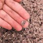 Large Polymer Clay Red Bean Sprinkles, Adzuki Bean Nail Art Slices, Faux (Bag: 15 Grams)