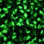 Larger Glow In the Dark Firefly Bug Fake Polymer Clay Slice Sprinkles (Bag: 30 Grams)