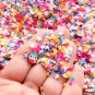 That Summer Something, Fake Polymer Clay Sprinkles with resin cab, Inedible Rainbow (Bag: 15 Grams)
