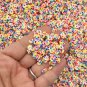 Mini Rainbow Donut, Loop Polymer Clay NON EDIBLE Dessert Sprinkles, Nail Art Slices (Bag: 15 Grams)