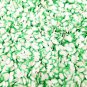 Napa Cabbage Polymer Clay slices, Veggie Nail Art Slices, Faux Food, Miniature Food (Bag: 15 Grams)