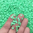 SPRING GREEN STAR Sprinkle Mix, Polymer Clay Fake Sprinkles (Bag: 13 Grams) SPRING GREEN STAR Sprinkle Mix, Polymer Clay Fake Sprinkles (Bag: 13 Grams)