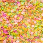 PINEAPPLE KIWI Mix, Bright Polymer Clay Fake Sprinkles with Pineapple and Kiwi (Bag: 15 Grams)
