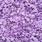 Purple Peppermint Polymer Clay Dessert Candy Slice Sprinkles, Nail Art Slices (Bag: 15 Grams)