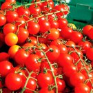 200 SEEDS CHERRY TOMATOES SUPER SWEET LARGE SWEET TASTY HEIRLOOM NON-GMO RARE edlcy (Seeds)