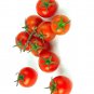 200 SEEDS CHERRY TOMATOES SUPER SWEET LARGE SWEET TASTY HEIRLOOM NON-GMO RARE edlcy (Seeds)