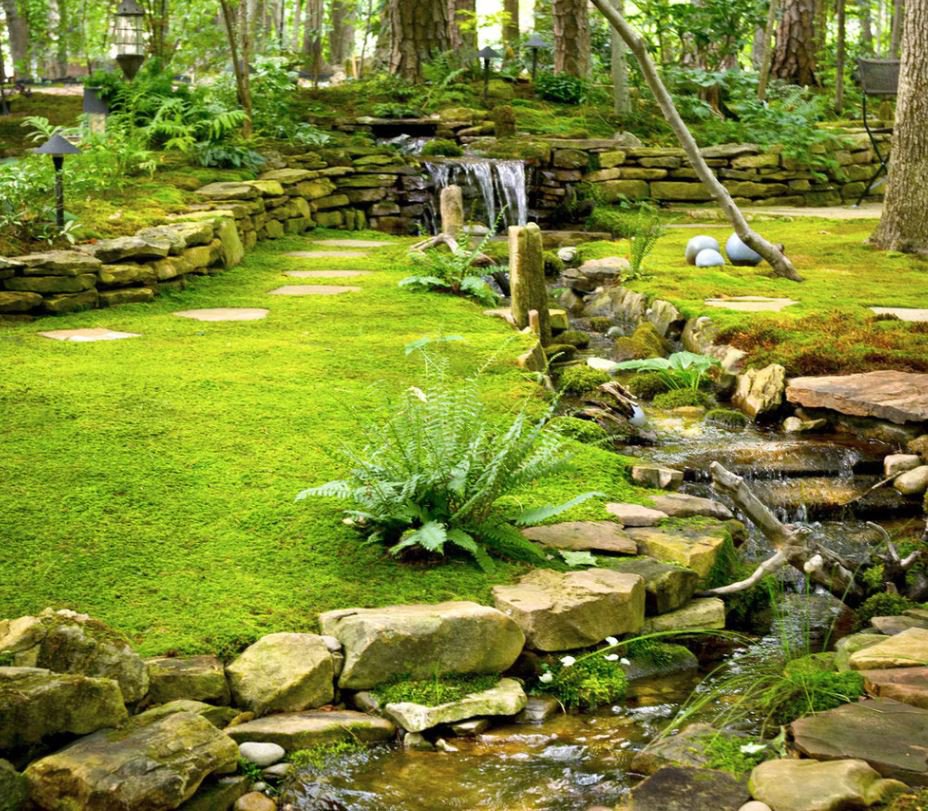 Sheet Moss - 5 Square Feet jocad (1 Plant)