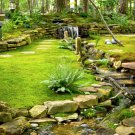 Sheet Moss - 5 Square Feet jocad (1 Plant)