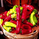 50 SEEDS SWEET CUBAN PEPPER RARE AUTUMN FRUITS VEGETABLE HEIRLOOM NON-GMO edlcy (Seeds)
