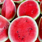 50+ SEEDS SUGAR BABY WATERMELON SUPER SWEET FRUIT HEIRLOOM NON-GMO MELON edlcy (Seeds)