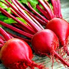 200+ SEEDS DETROIT BEET SEEDS AUTUMN GARDEN FALL BEETROOT NON-GMO VEGETABLE HEIRLOOM edlcy (Seeds) 200+ SEEDS DETROIT BEET SEEDS AUTUMN GARDEN FALL BEETROOT NON-GMO VEGETABLE HEIRLOOM edlcy (Seeds)