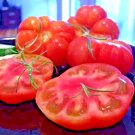 30 SEEDS GIANT BEEFSTEAK RARE TOMATO MARMANDE HUGE HEIRLOOM NON-GMO TASTY JUICY edlcy (Seeds)