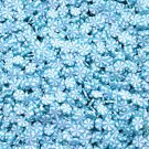 Blue Peppermint Polymer Clay Dessert Candy Slice Sprinkles, Nail Art Slices (Bag: 15 Grams)