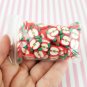 Large Polymer Clay Apple Fruit Slices, Nail Art Slices, Faux Fruit, Miniature Fruit (Bag: 30 Grams)