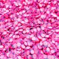 Lollipop Polymer Clay Dessert Slices, Nail Art Slices, Resin Embellishments (Bag: 15 Grams)