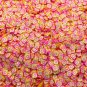 Insta Camera Sprinkles, NON EDIBLE Bright Social Media Faux Sprinkles (Bag: 15 Grams)