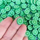 Large Polymer Clay Lime Fruit Slices, Nail Art Slices, Faux Fruit, Miniature Fruit (Bag: 15 Grams)