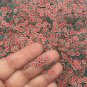 Polymer Clay Watermelon Fruit Sprinkles, Nail Art Slices, Faux Fruit, Miniature (Bag: 15 Grams)