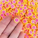 Large Polymer Clay Grapefruit Fruit Slices, Nail Art Slices, Faux Fruit, Miniature (Bag: 30 Grams) Large Polymer Clay Grapefruit Fruit Slices, Nail Art Slices, Faux Fruit, Miniature (Bag: 30 Grams)