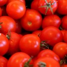 50 Bulk Seeds TOMATO SMALL RED CHERRY ORGANIC Lycopersicon Esculentum edlcy (Seeds)