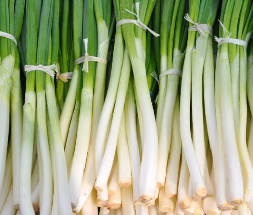 50 Bulk Seeds ONION BUNCHING HE SHI KO ORGANIC Allium Cepa edlcy (Seeds)
