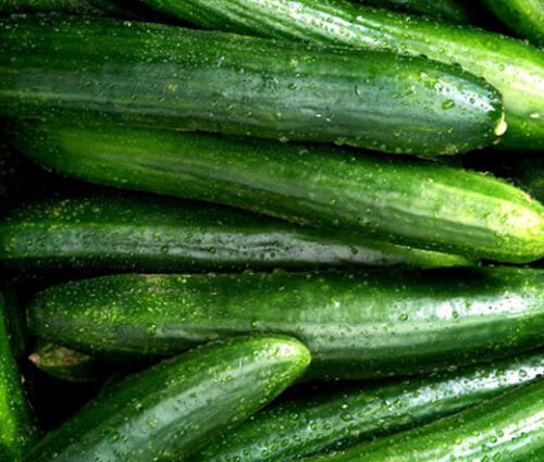 100 Bulk Seeds CUCUMBER STRAIGHT EIGHT ORGANIC Cucumis Sativus edlcy (Seeds)
