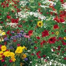 500+ Seeds Wildflower Mix: Butterfly wildflower mixture edlcy (Seeds)