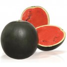12+ Seeds Watermelon Seed: Sweetie Pie Watermelon edlcy (Seeds)
