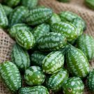 12+ Seeds Cucumber Seed: Mouse Melon Cucumber edlcy (Seeds)