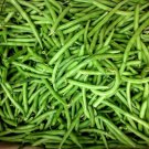 50+ Seeds Green Bean Seeds: Kentucky Wonder Bush Green Bean edlcy (Seeds)