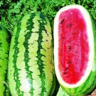 12+ Seeds Watermelon Seed: Jubilee Watermelon edlcy (Seeds)