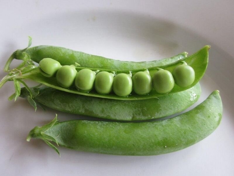 50+ Seeds Pea Seed: Wando Pea edlcy (Seeds)