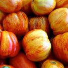12+ Seeds Tomato Seeds: Old German Tomato edlcy (Seeds)