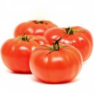 12+ Seeds Tomato Seeds: Beefsteak Tomato edlcy (Seeds)