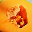 12+ Seeds Cantaloupe Seed: Delicious 51 Cantaloupe edlcy (Seeds)