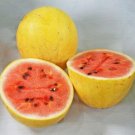 12+ Seeds Watermelon Seed: Golden Midget Watermelon edlcy (Seeds)