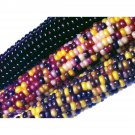50+ Seeds Ornamental Corn Seed: Crossbow Ornamental Corn edlcy (Seeds)