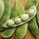 25+ Seeds Lima Bean Seeds: Fordhook Lima Bean edlcy (Seeds)