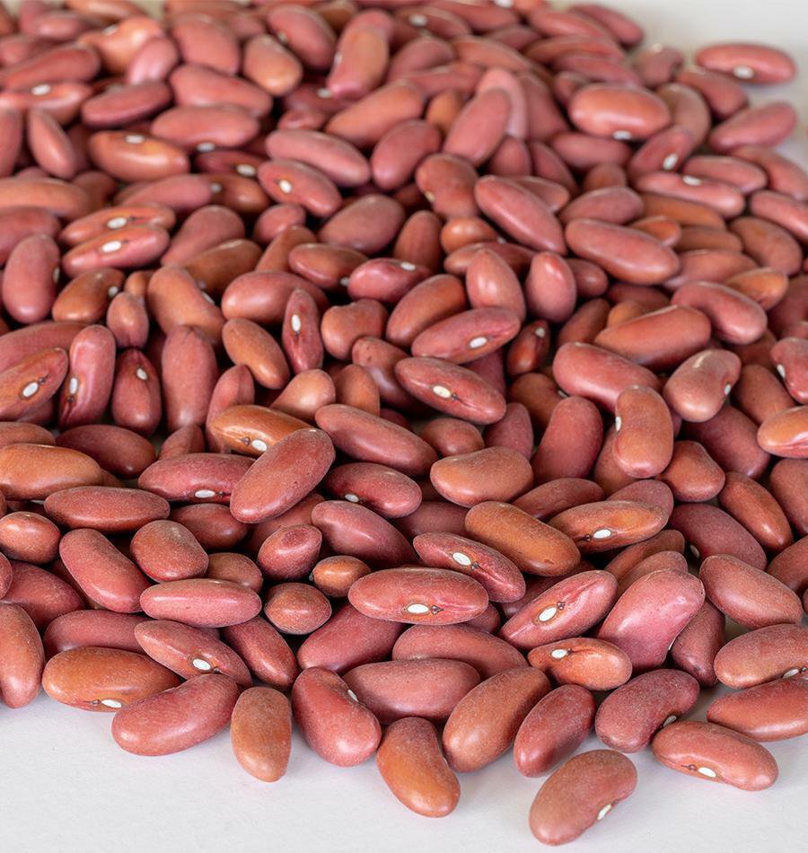 50+ Seeds Bean Seeds: Light Red Kidney Bean edlcy (Seeds)