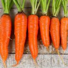 250+ Seeds Carrot Seed: Kuroda Carrot edlcy (Seeds)
