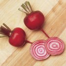 400+ Seeds Beet Seed: Chioggia Beet edlcy (Seeds)