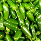 50+ Seeds Pepper Seed: Jalapeno Pepper edlcy (Seeds)