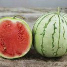 12+ Seeds Watermelon Seed: Dixie Queen Watermelon edlcy (Seeds)