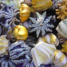 25+ Seeds Gourd Seed: Ten Commandments Gourd Seeds edlcy (Seeds)