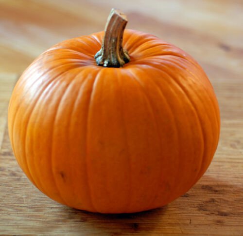 12+ Seeds Pumpkin Seed: Jack O Lantern Pumpkins edlcy (Seeds)