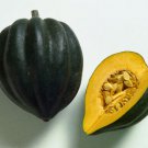 12+ Seeds Squash Seed: Table Queen Acorn edlcy (Seeds)