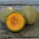 12+ Seeds Cantaloupe Seed: Honey Rock Canteloupe edlcy (Seeds)